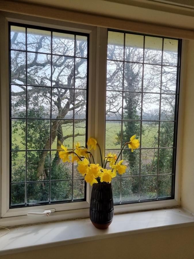 Lovely 2-Bedroom New Forest Apartment On A Farm Ню Милтън Екстериор снимка